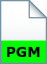 Portable Graymap File Format File